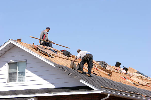 Best Skylight Installation and Repair  in Green Hill, TN