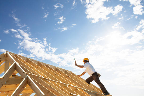 Best Roof Maintenance and Cleaning  in Green Hill, TN